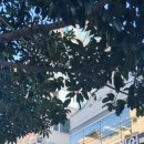 세컨페이스 | 울산 삼산동 안경점 추천 세컨페이스 후기 솔직 방문기