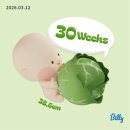 제이앤윰 | 임신일기) 29주 30주 갑자기 통통해진 아기! 그리고 백일해주사