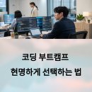코딩 부트캠프 선택 기준과 후기 정리
