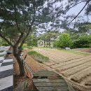 상월면사무소 이미지