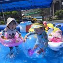 원광유치원 이미지