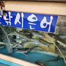 보배농장 | [국내여행] 무모한 도전 당일치기 울진여행 추천