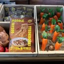 고사리 바이 배드캐럿 이미지