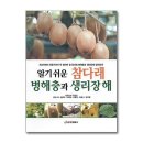 참다래