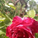 베말공원 이미지