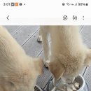 꽃지누리헬스케어
