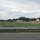 경주시강동면왕신보건진료소 | 2017 타경 3693 .경상북도 경주시 강동면 왕신리 751-1 경매 전