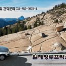 캐리어드림총판