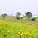 명례성지화장실 이미지