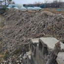 대지부동산중개인사무소 이미지