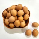 오빠네 헬스장 이미지