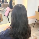 7188 | 강남미용실 박준뷰티랩 청담점 시그니처 에어레이어펌 은서디자이너 건강한 펌 후기