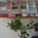 영피부과의원 이미지