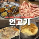언고기