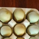 정숙농장 이미지