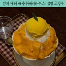 디어 마이 망고 이미지