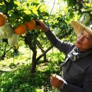 김상기농장 이미지