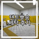 모닝세탁 - 강서구 양천로 564 | 우중캠 후 텐트 세탁·건조 후기｜텐트뽀송 마곡점 이용 솔직 리뷰
