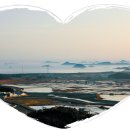 도초