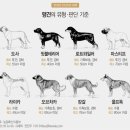 월 - 천안시 동남구 청수11로 24 | 월