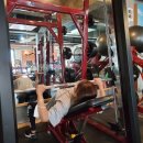 바디캠프 이미지