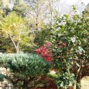 백운동정원 이미지