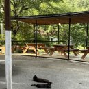 지리산 오리 | 여름 물놀이 가기 좋은 곳 : 지리산 중산리 계곡 , 오리불고기 우청전 후기