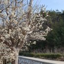 내동마을 입구 이미지