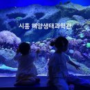 생태터널입구 | 시흥 해양생태과학관 아이랑 실내 전시 관람 후기 근처 해수욕장 방문