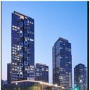 천년나무 세종부동산중개사사무소 | 세종시땅 토지부터 원룸까지 세종 최고의 부동산 생명나무 방문후기