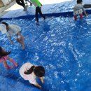 청아곤충놀이터