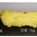 핫바디짐 이미지
