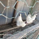 원기마을 이미지