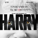 덤앤더머 이미지