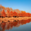 몸튼튼 마음튼튼 키즈요가 이미지