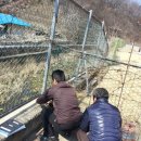 신녕초교 이미지