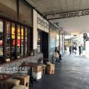 메디퀸스