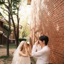 크레마(CREMA) | 서울 웨딩스냅 추천 :: 용산공원에서 촬영한 크레마스냅 후기 🤍