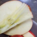 파파스팜 이미지