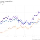 (주)노보파마 이미지