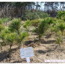 옥향슈퍼 이미지