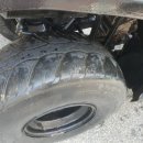 피노키오 자연휴양림 야영장 이미지