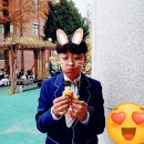 석적초등학교 | [행복] 제55회 전국초등학생 음악경진대회 2위 수상, 캐리와 친구들 공연 관람