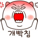 둥글리다 이미지