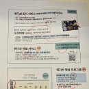 취다선리조트 | 제주 나만의 쉼 요가 명상 리조트, 취다선 후기 (여자 혼자 여행 추천 숙소)