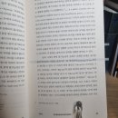 번역세계