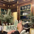 노벨라 별하나 이미지