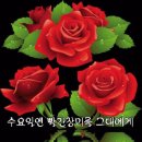수요일 - 종로구 인사동길 36 | 수요일