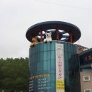 우정진도개 | 진도, 목포 여행 후기