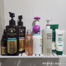 탈모 기록. 탈모 샴푸(라보에이치, 닥터구르트,다이소 레드진생), 탈모 머리감기에 대하여 내돈내산 후기